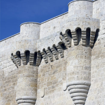 Vista lateral de las escaraguaitas