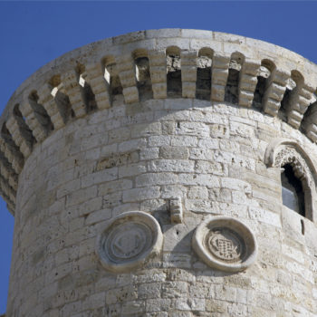 Torre y escudos